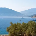 Seaside Euphoria Kefalonia Vila Agia Efimia